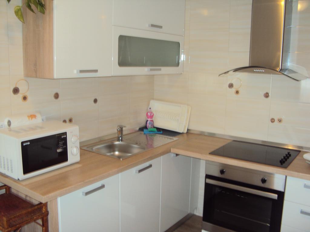 Apartment Maruska Tolmin Room photo